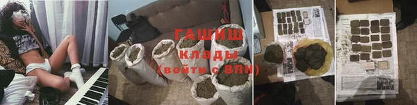 прущие грибы Саяногорск