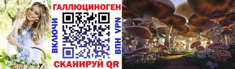 Псилоцибиновые грибы мицелий  наркота  Шахунья 
